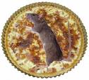 rat