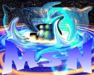 msn