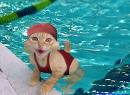 chaton